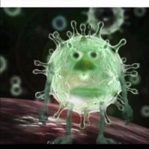 Meet your Posher, Emy